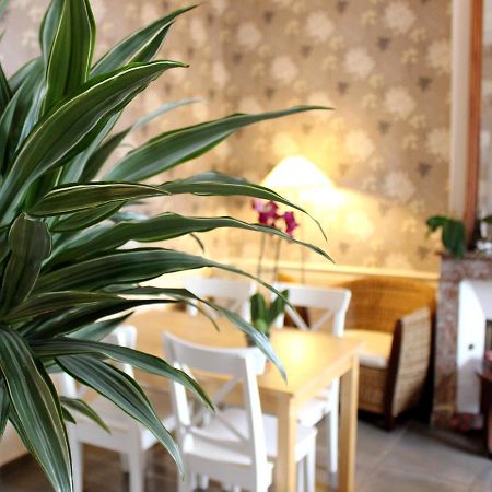 Hotel Les Aubepines Illiers-Combray Zewnętrze zdjęcie